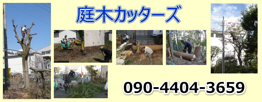 庭木カッターズ | 三重県朝日町の庭木の伐採を承ります。